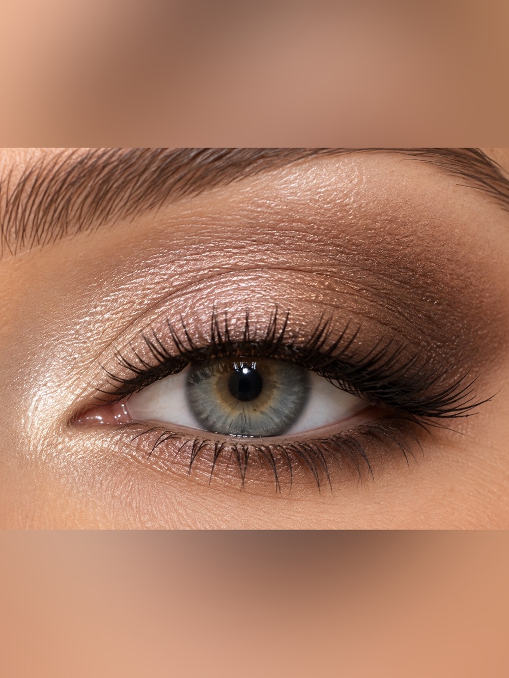 Revlon ColorStay Day to Night Eyeshadow Quad (555 Moonlit) Moonlit NWT brown